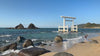 beach.mp4__PID:377351bd-02db-4104-8981-90dc5400adb2